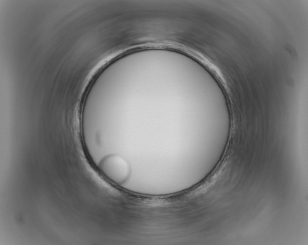 X0000112981239200908270911