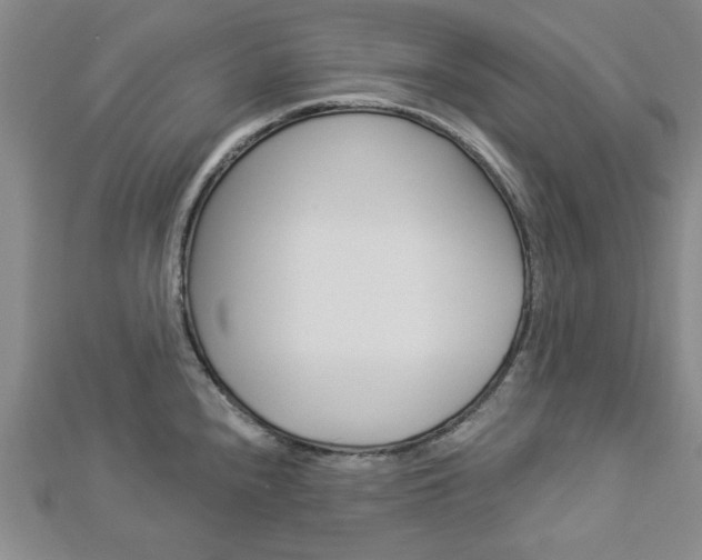 X0000112981240200908270911