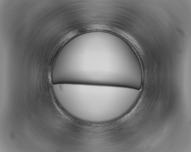 X0000112981241200908270911