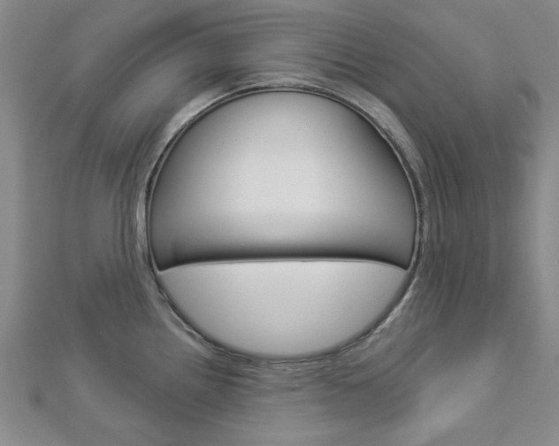 X0000112981242200908270911