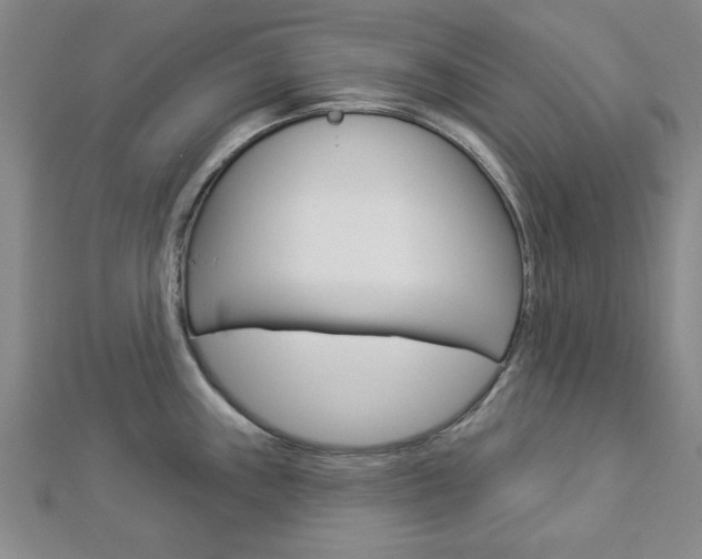 X0000112981243200908270911