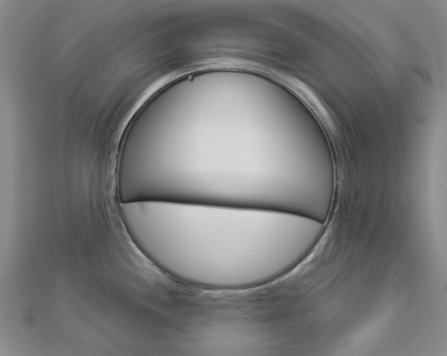 X0000112981244200908270911