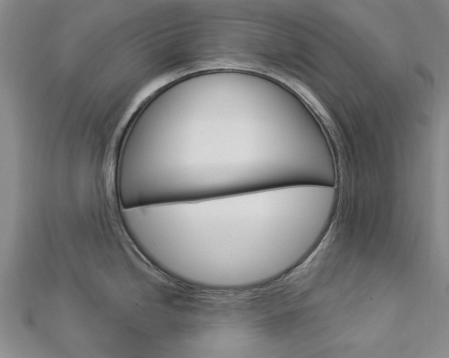 X0000112981246200908270911