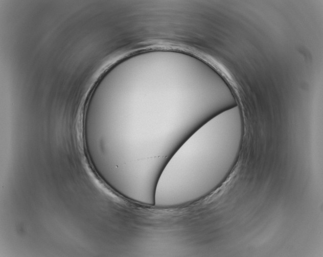 X0000112981247200908270911