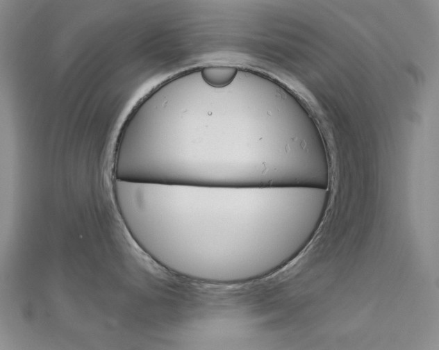 X0000112981248200908270911