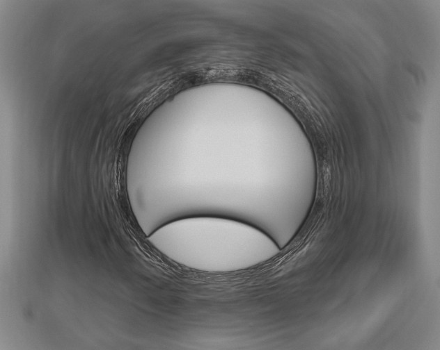 X0000112981250200908270911
