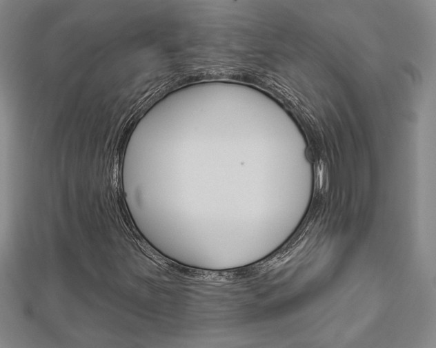 X0000112981251200908270911