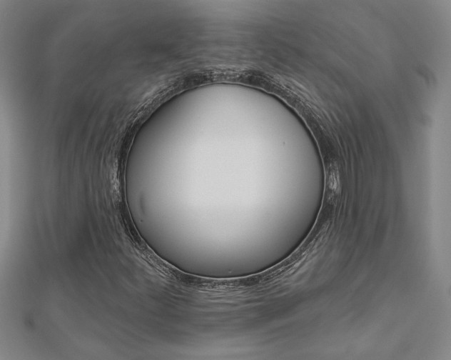 X0000112981252200908270911