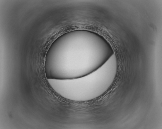 X0000112981253200908270911