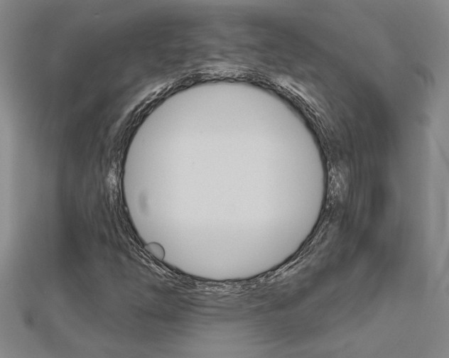 X0000112981254200908270911