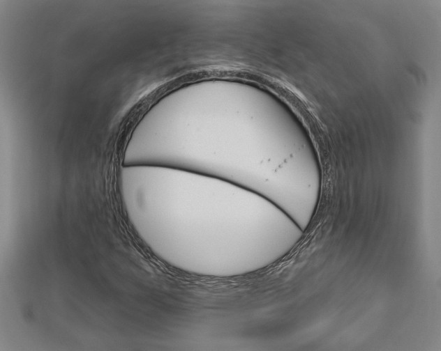 X0000112981255200908270911