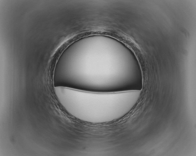 X0000112981256200908270911