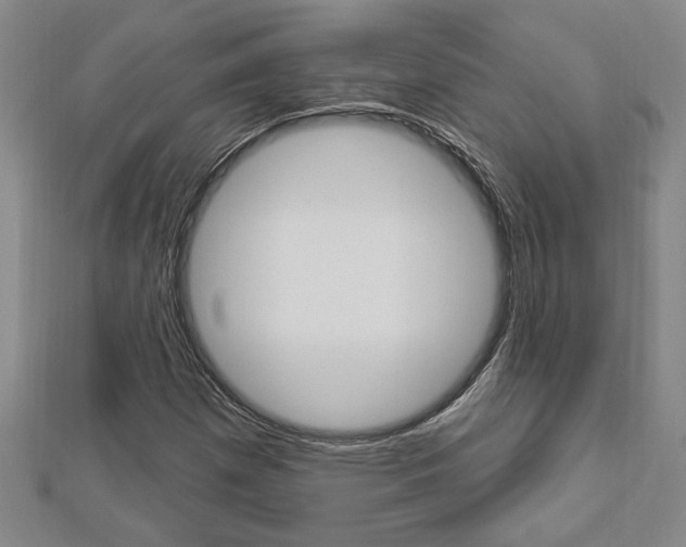 X0000112981257200908270911
