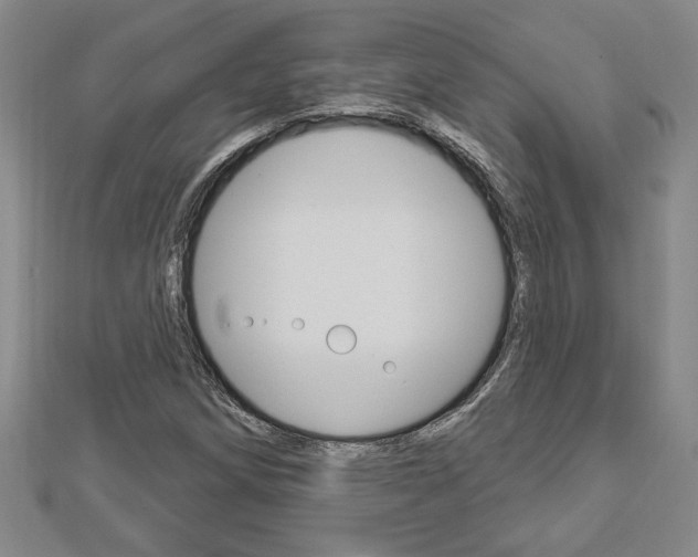 X0000112981258200908270911