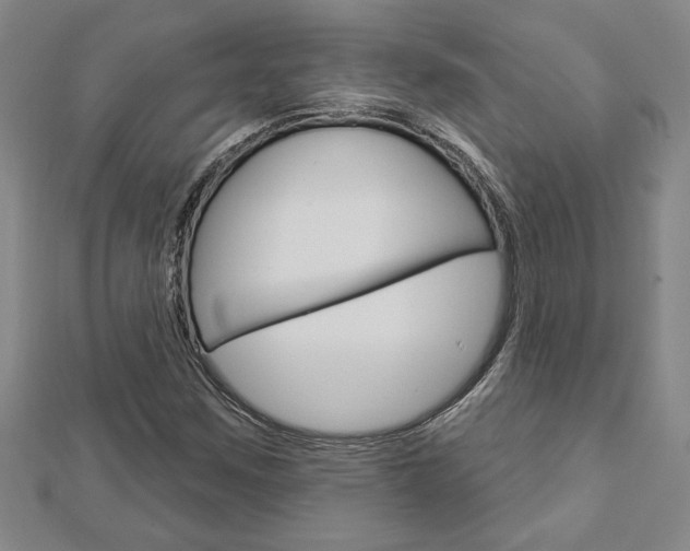 X0000112981259200908270911