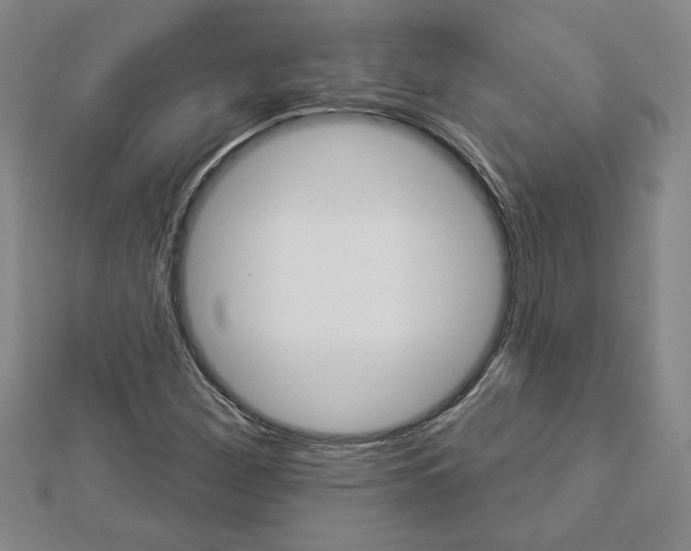 X0000112981260200908270911
