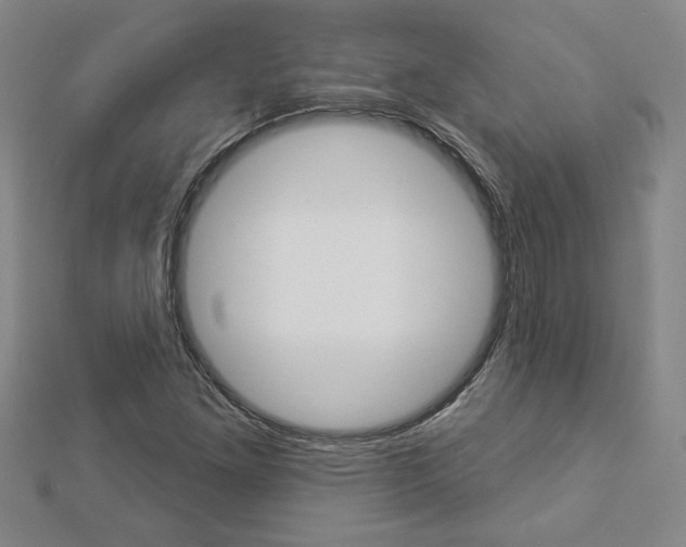 X0000112981261200908270911