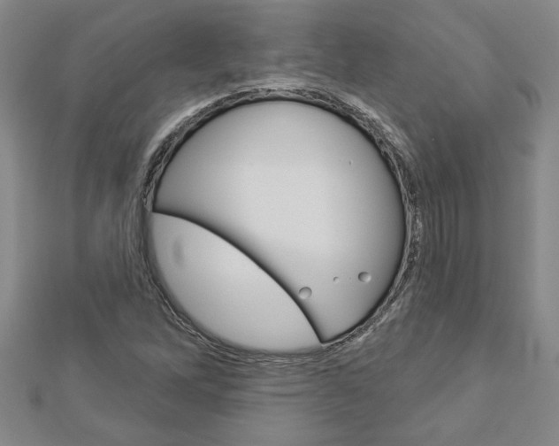 X0000112981262200908270911