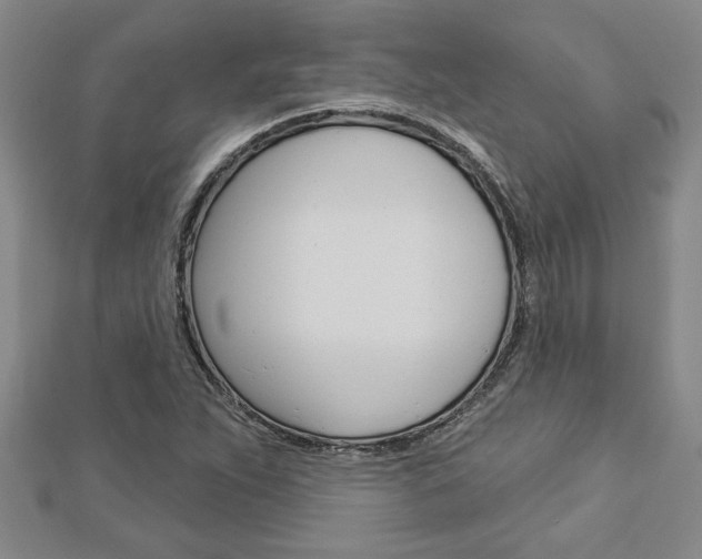 X0000112981263200908270910