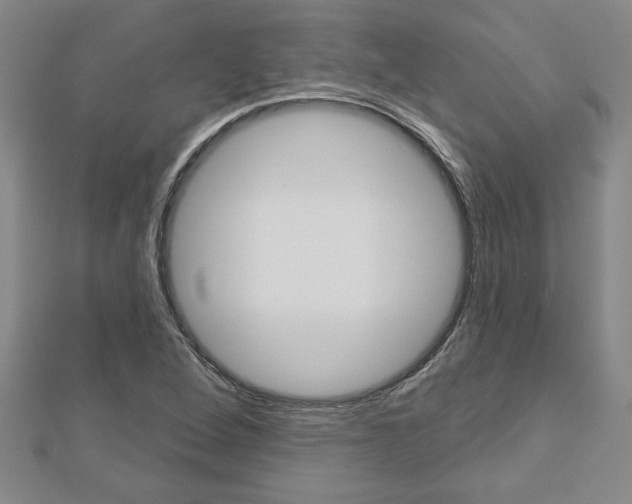 X0000112981264200908270910