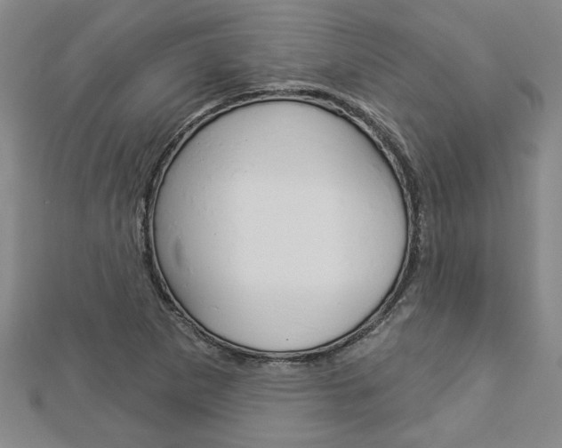 X0000112981265200908270910
