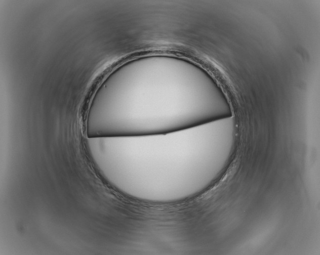 X0000112981267200908270910