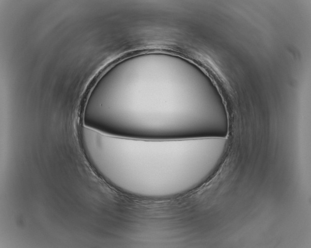 X0000112981268200908270910