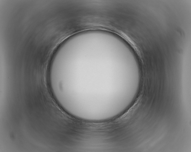 X0000112981269200908270910