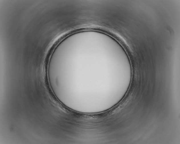 X0000112981270200908270910