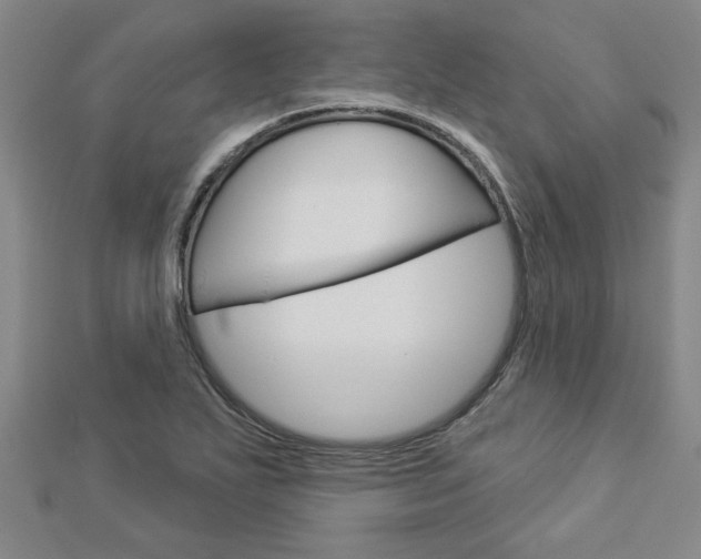 X0000112981271200908270910