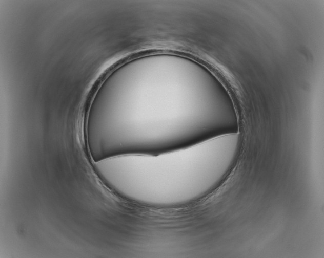 X0000112981272200908270910