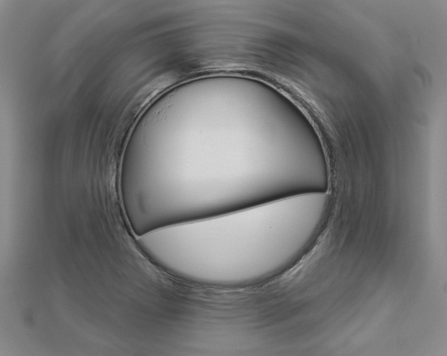 X0000112981273200908270910