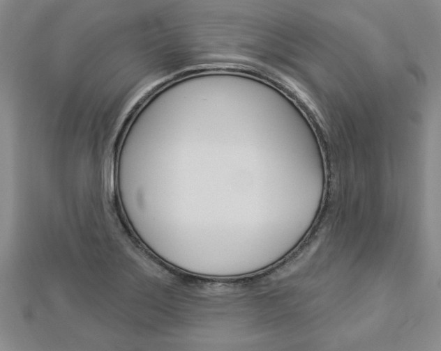 X0000112981275200908270910