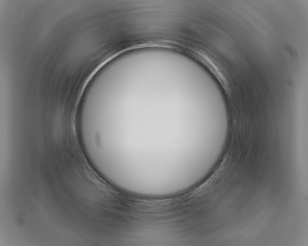 X0000112981276200908270910