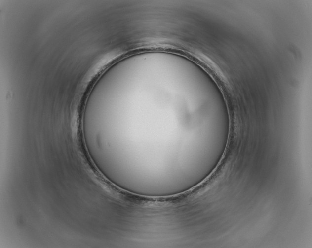 X0000112981277200908270910