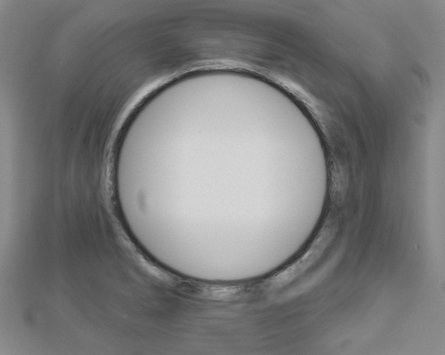 X0000112981278200908270910