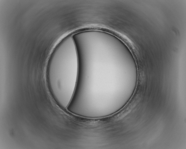 X0000112981279200908270910