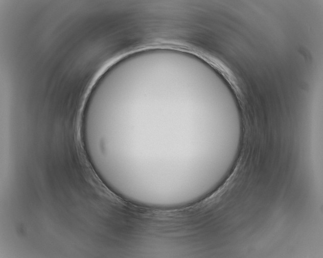 X0000112981280200908270910