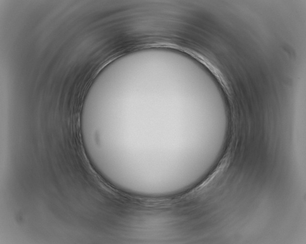 X0000112981281200908270910