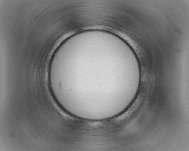 X0000112981282200908270910
