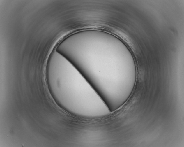 X0000112981283200908270910