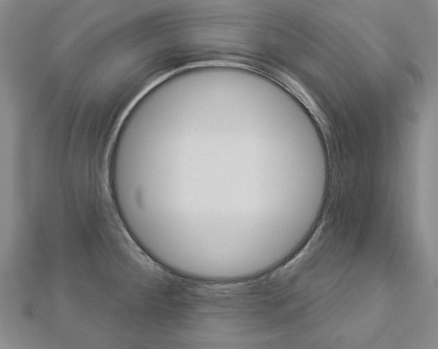 X0000112981284200908270910