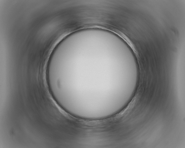 X0000112981285200908270910