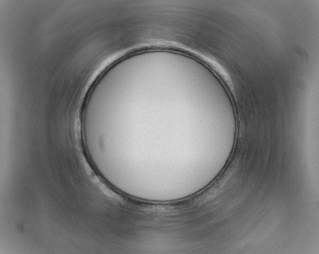 X0000112981287200908270910