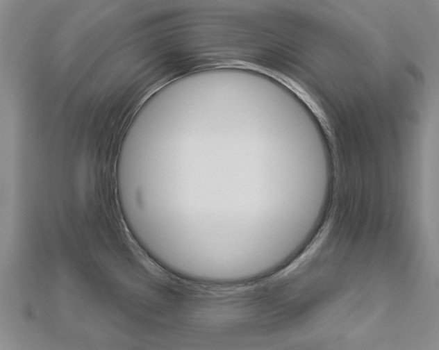X0000112981289200908270910
