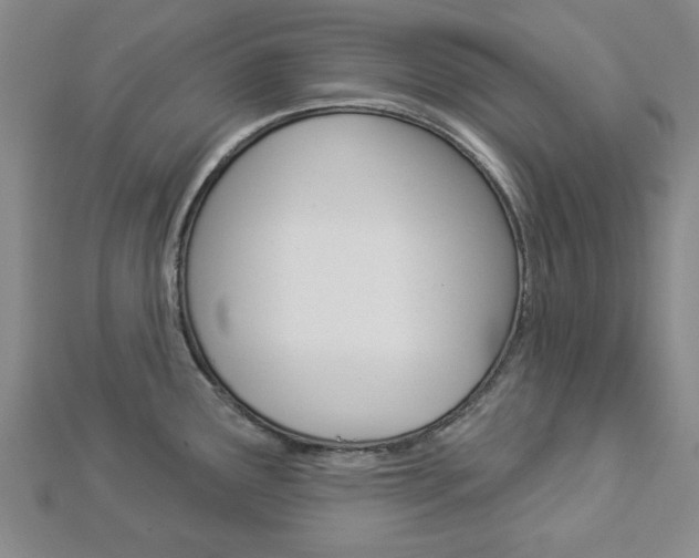 X0000112981291200908270910
