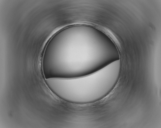 X0000112981292200908270910