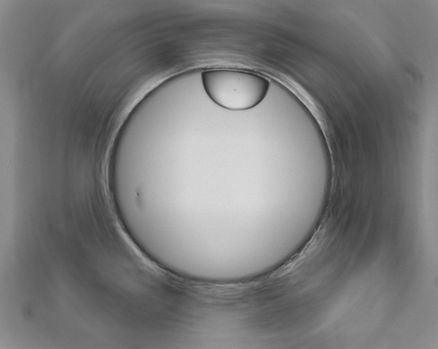 X0000112981293200908270910
