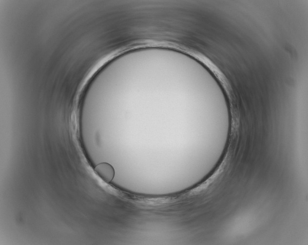 X0000112981294200908270910