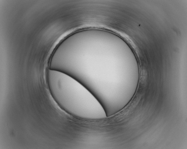 X0000112981295200908270910